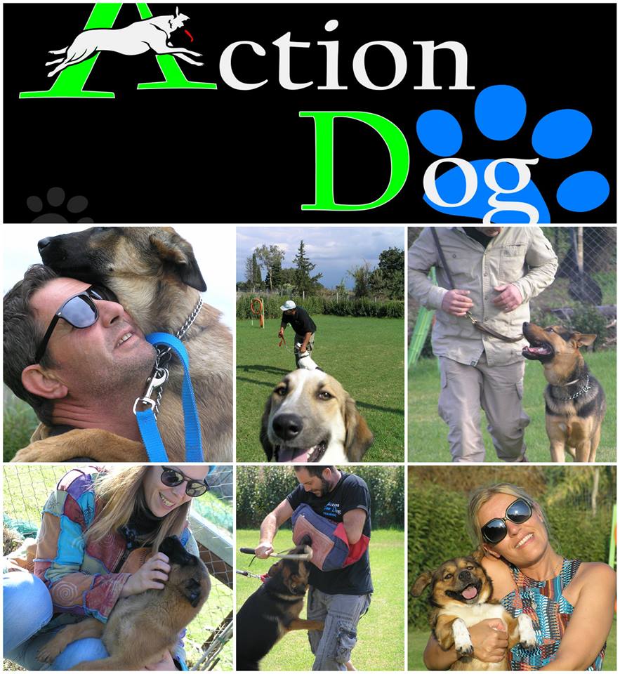 15823648_1235979666468760_1098272814322423806_n (1).jpg